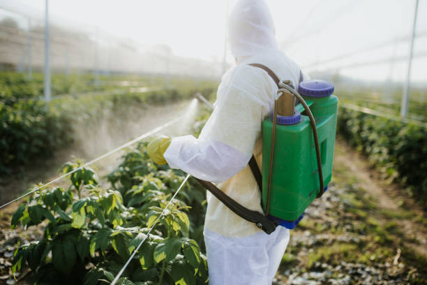 Pest Control for Warehouses in Williamston, MI